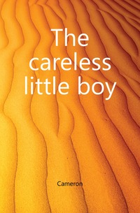 The careless little boy