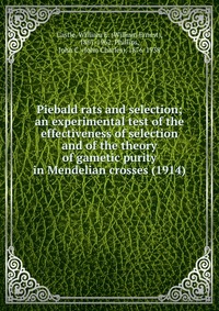 Piebald rats and selection; an experimental test of the effectiveness of selection and of the theory of gametic purity in Mendelian crosses (1914)