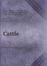 Cattle