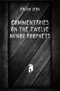 Commentaries on the twelve Minor Prophets