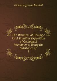 The Wonders of Geology: Or A Familiar Exposition of Geological Phenomena; Being the Substance of