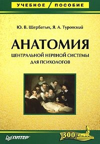 Анатомия центральной нервной системы для психологов