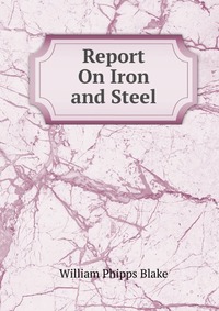 Report On Iron and Steel