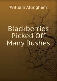 Blackberries Picked Off Many Bushes