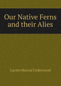 Our Native Ferns and their Alies