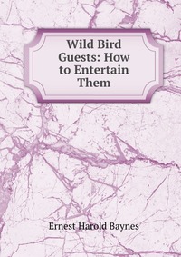 Wild Bird Guests: How to Entertain Them