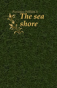 The sea shore