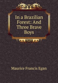 In a Brazilian Forest: And Three Brave Boys