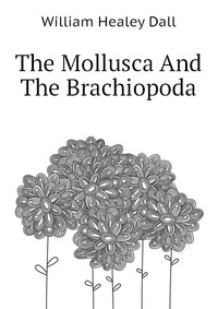 The Mollusca And The Brachiopoda