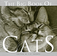 Big Book of Cats