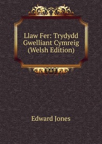 Llaw Fer: Trydydd Gwelliant Cymreig (Welsh Edition)