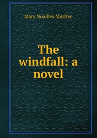 The windfall: a novel