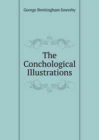 The Conchological Illustrations