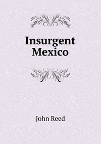 Insurgent Mexico