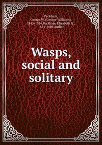 Wasps, social and solitary