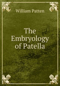 The Embryology of Patella