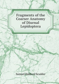 Fragments of the Coarser Anatomy of Diurnal Lepidoptera