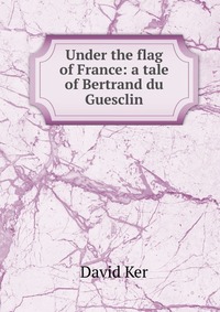 Under the flag of France: a tale of Bertrand du Guesclin