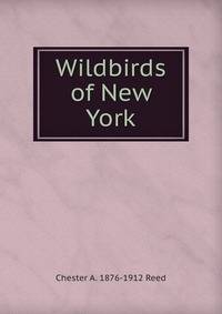 Wildbirds of New York