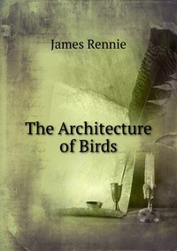 The Architecture of Birds