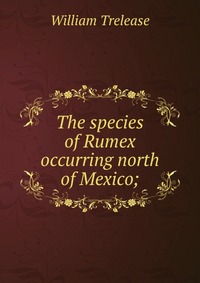 The species of Rumex occurring north of Mexico;