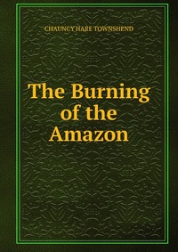 The Burning of the Amazon