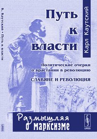 Путь к власти. Политические очерки о врастании в революцию. Славяне и революция