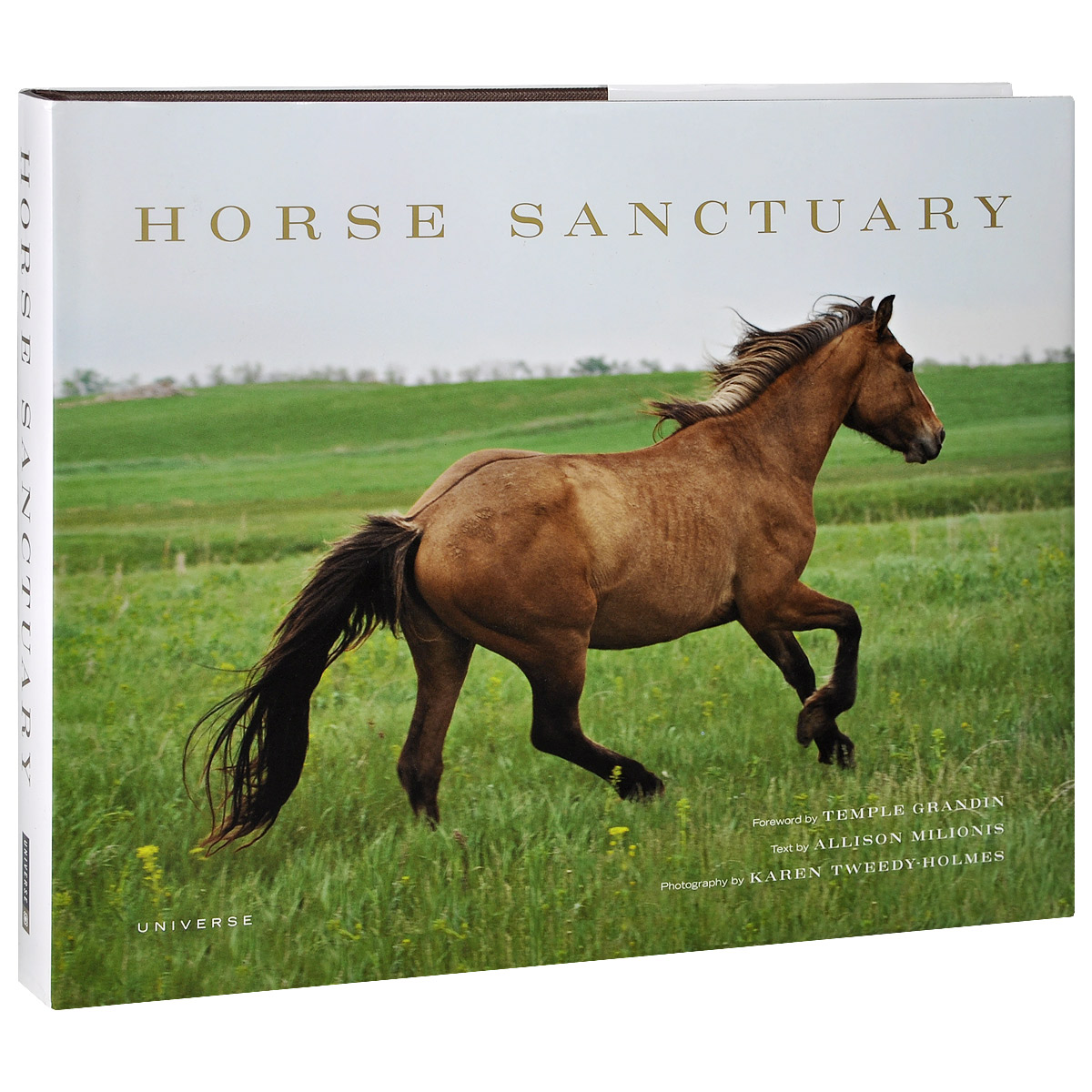 Horse Sanctuary: Running Free