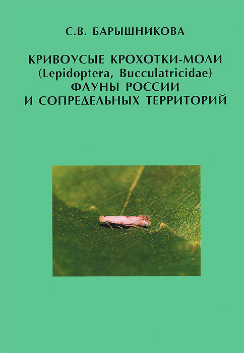 Кривоусые крохотки-моли (Lepidoptera, Bucculatricidae) фауны России и сопредельных территорий