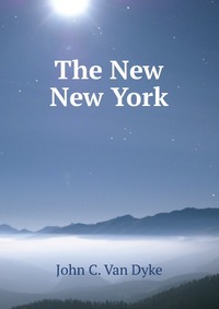 The New New York