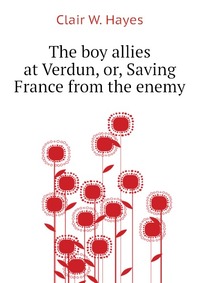 The boy allies at Verdun, or, Saving France from the enemy