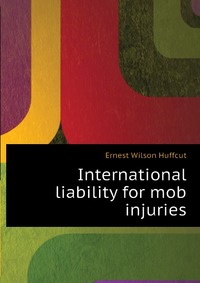 International liability for mob injuries