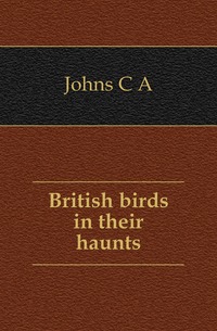 British birds in their haunts