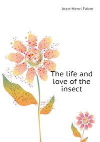 The life and love of the insect