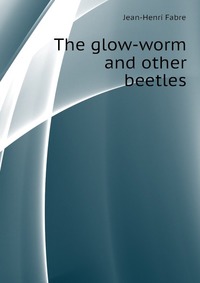 The glow-worm and other beetles