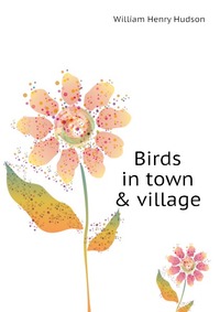 Birds in town & village