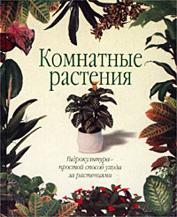 Комнатные растения. Гидрокультура - простой способ ухода за растениями