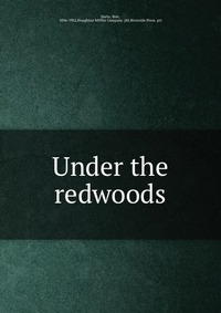 Under the redwoods