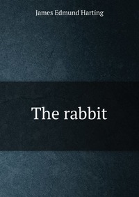 The rabbit