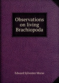 Observations on living Brachiopoda