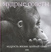 Мудрые советы. Мудрость жизни: ценный опыт