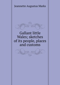 Gallant little Wales; sketches of its people, places and customs