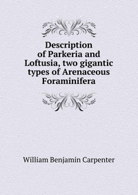 Description of Parkeria and Loftusia, two gigantic types of Arenaceous Foraminifera