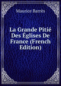 La Grande Pitie Des Eglises De France (French Edition)