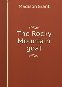 The Rocky Mountain goat