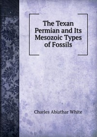 The Texan Permian and Its Mesozoic Types of Fossils