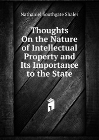 Thoughts On the Nature of Intellectual Property and Its Importance to the State