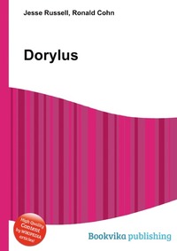 Dorylus