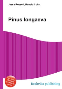 Pinus longaeva