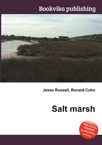 Salt marsh